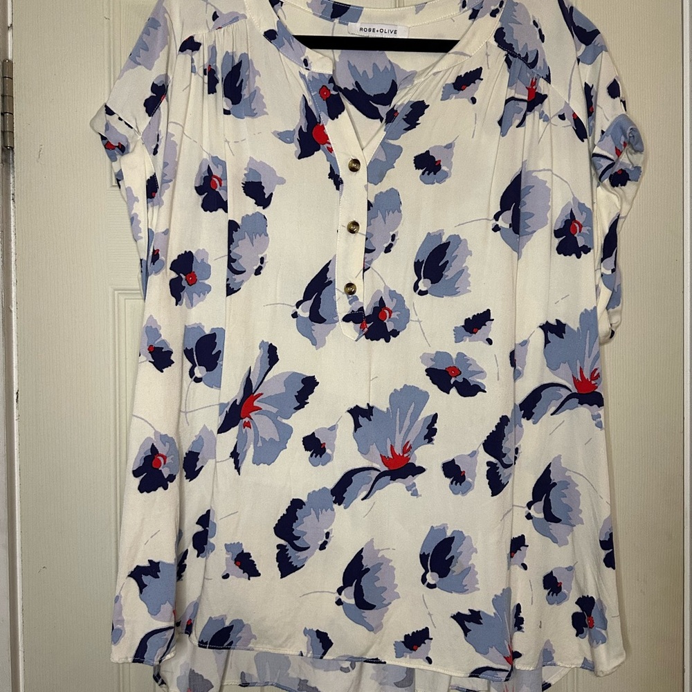 Rose & Olive Blue and Red Floral Blouse
